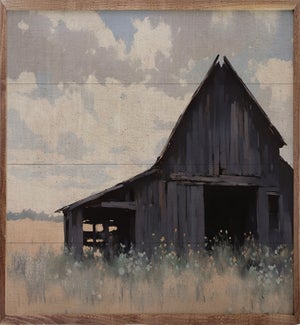 Black Barn In Field